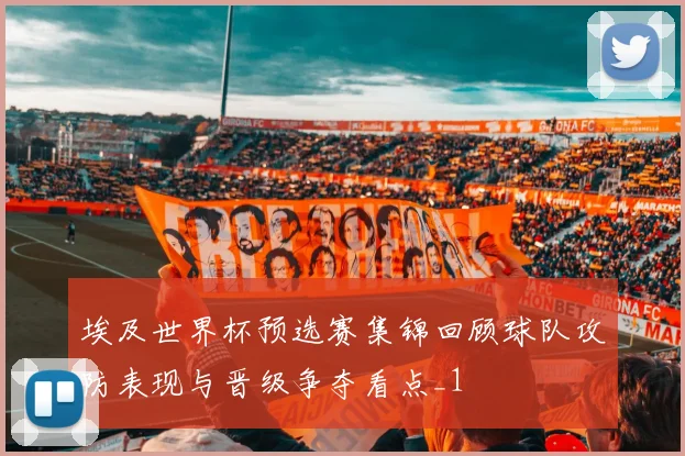 埃及世界杯预选赛集锦回顾球队攻防表现与晋级争夺看点_1