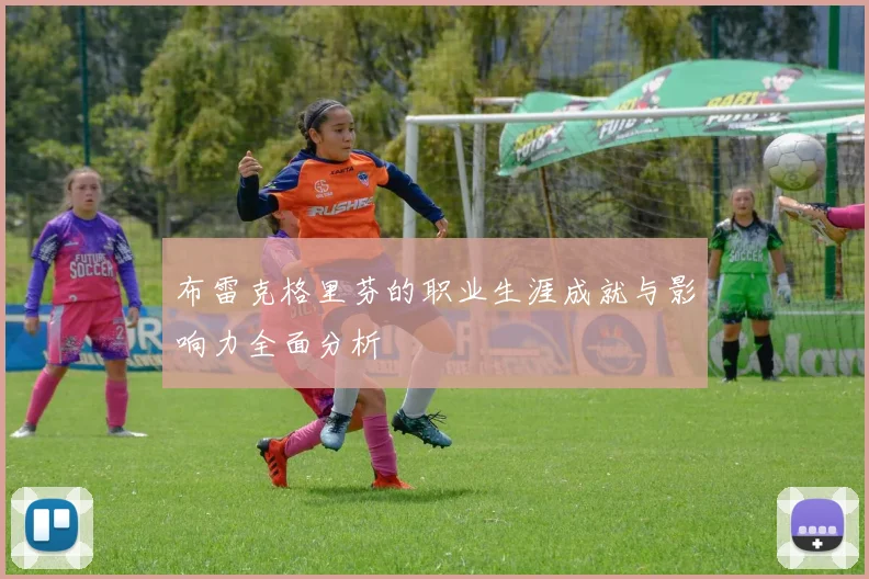 布雷克格里芬的职业生涯成就与影响力全面分析